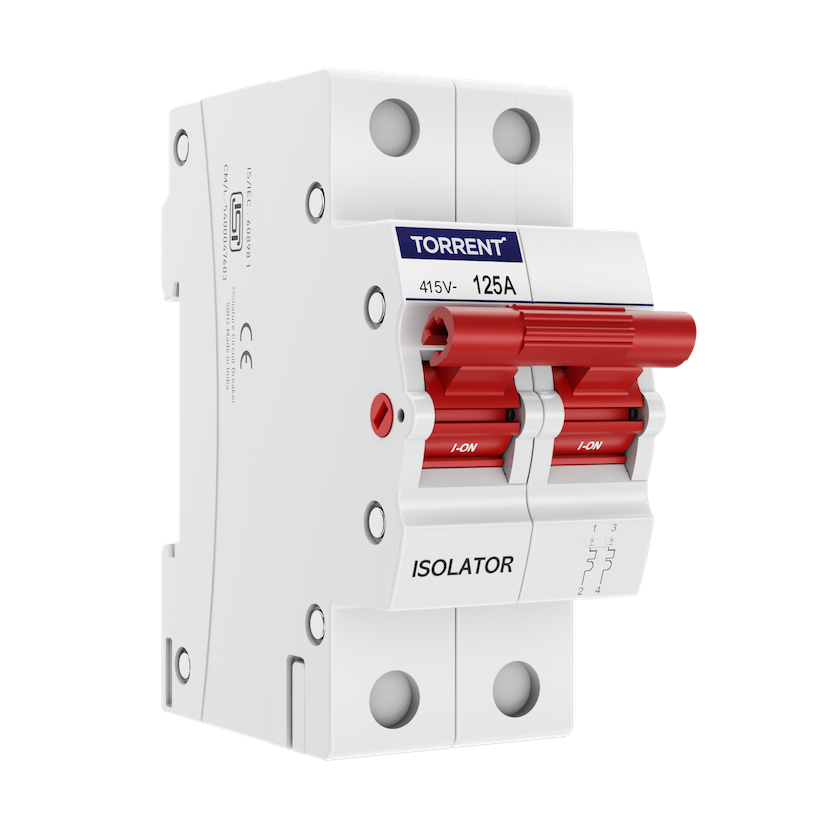 Double Pole Isolator - detail view