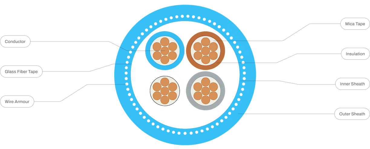 Cross Sectional Overview