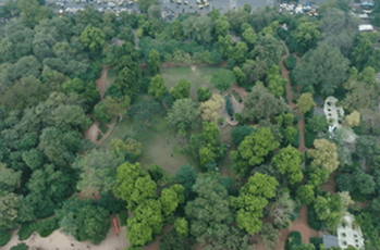 Shetrunjay Hills aerial view