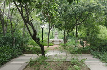 Pathway through restored garden